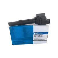 Bobina  De Ignição Ford Territory