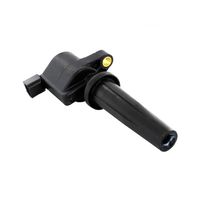 Bobinas De Ignição Original Ford Ecosport Focus