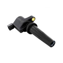 Bobinas De Ignição Original Ford Ecosport Focus