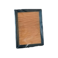 Filtro Ar Do Motor Nissan Sentra e Tiida