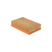 Filtro De Ar Do Motor Nissan Frontier