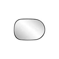 Espelho Do Retrovisor Direito Nissan Livina