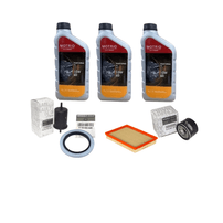 Kit De Revisão 10000KM Motor 1.0 12V Sce Renault Kwid