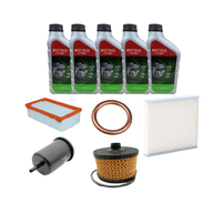 Kit De Revisão 10000KM Motor 1.3 Tce Flex Renault Captur