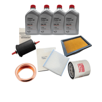 Kit De Revisão Flex 1.0 Nissan March