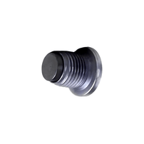 Bujão Tampão Do Câmbio Fiat Ducato