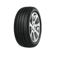 Pneu Minerva F205 205/55R17 95W Nissan Kicks